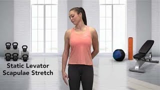 How to do a Static Levator Scapulae Stretch [upl. by Kindig292]