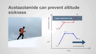 Acetazolamide amp PotassiumSparing Diuretics Uses amp Insights [upl. by Ahsetan]