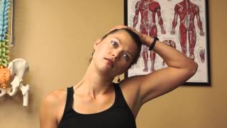 Upper Trapezius and Levator Scapula Stretch [upl. by Priestley]