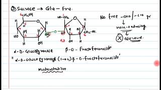 14 Disaccharides [upl. by Annabelle983]