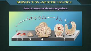 Disinfection and Sterilization [upl. by Hennahane252]