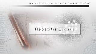 Understanding Hepatitis B Serology Results [upl. by Anotyal692]