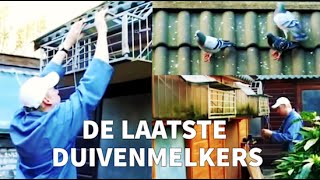 De Laatste Duivenmelkers The Last Pigeon Fanciers  Amsterdams Peil [upl. by Llewoh]