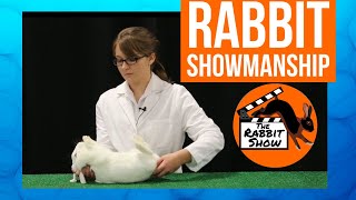 4H Rabbit Showmanship Tutorial [upl. by Nodnal]