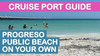 Progreso Yucatán Cruise Port Guide Public Beach On Your Own [upl. by Lette328]