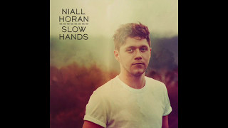 Niall Horan  Slow Hands  Lyrics [upl. by Einamrej]