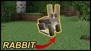 How To Tame A Rabbit In Minecraft [upl. by Sandry]