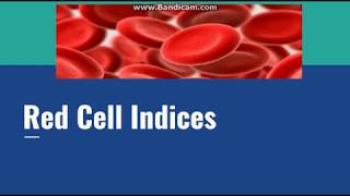 RBC Indices [upl. by Jacoby]