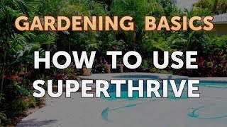 How to Use SUPERThrive [upl. by Emmott]