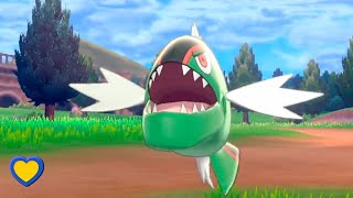 HOW TO GET Basculin in Pokémon Sword and Shield [upl. by Trant]