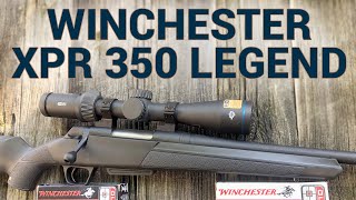 Gun Review Winchester XPR in 350 Legend [upl. by Nikal651]