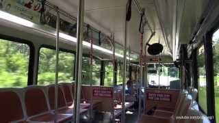 Walt Disney World Resort Bus Disneys Saratoga Springs to the Magic Kingdom [upl. by Westfahl383]