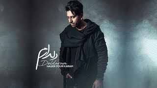 Naser Pourkaram  Deldaram  OFFICIAL TRACK [upl. by Iand407]