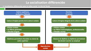 La socialisation différenciée [upl. by Walton]