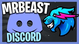 MrBeast Official Discord Server 700K MEMBERS [upl. by Alekahs]