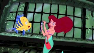 REQUESTED YTPMV Finding Nemo  Shark Scene  Bruce Scan [upl. by Annadiana]