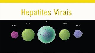 Hepatites Virais [upl. by Idet]