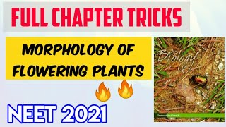 Plant Morphology Full Chapter Tricks  Neet Possible Tricks Series  Target Neet [upl. by Ontina79]