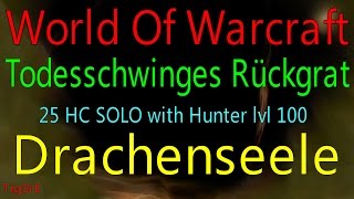 WOW  TODESSCHWINGES RÜCKGRAT  Spine of Deathwing  Drachenseele  25 HC solo [upl. by Camille934]