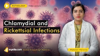 Chlamydial and Rickettsial Infections  Medical School  Pathology Lectures  VLearning [upl. by Anitsrihc116]