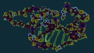 What is Protein Denaturation  Food Science [upl. by Leciram575]