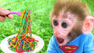 Monkey Baby Bon Bon eats Noodle with puppies and ducks eat watermelon [upl. by Kirkpatrick467]