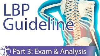 Low Back Pain Guideline Examination amp Analysis Part 3 [upl. by Arolf74]