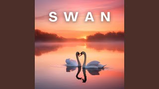 Swan [upl. by Bowe578]