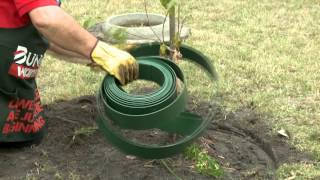 How To Install Garden Edging Around A Tree  DIY At Bunnings [upl. by Nujra]