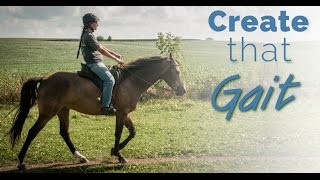 Training the Gaited Horse that Trots and Paces  before and after [upl. by Sezen]