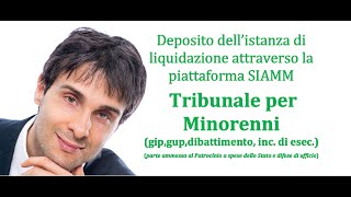 Tutorial 55 per inviare le istanze di liquidazione tramite SIAMM al Tribunale per i Minorenni [upl. by Rehpotsihc559]