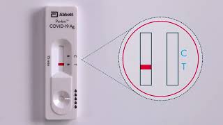 Panbio™ COVID 19 Ag Nasal Swab Procedure Live Action [upl. by Hoover]