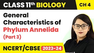 General Characteristics of Phylum Annelida Part 3  Class 11 Biology Chapter 4  NCERTCBSE [upl. by Namreh]