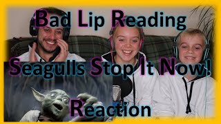 quotSeagulls Stop It Nowquot  A Bad Lip Reading  Reaction [upl. by Cope]