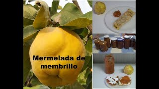 Mermelada de membrillo tradicional y con Thermomix® [upl. by Enelrad]