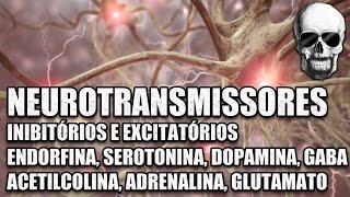 Vídeo Aula 147  Sistema Nervoso  Neurotransmissores Serotonina Dopamina e Endorfinas  Anatomia [upl. by Eneryc785]