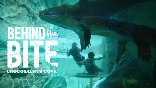 Behind the Bite The Cage of Death at Crocosaurus Cove [upl. by Eiramanit932]