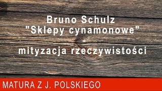 135 Bruno Schulz quotSklepy cynamonowequot  mityzacja rzeczywistości [upl. by Assili]