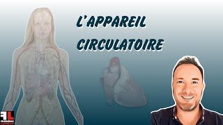 Anatomie de lappareil circulatoire [upl. by Bev177]