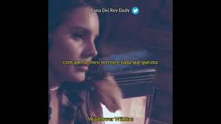 Lana Del Rey  Wildflower Wildfire Legendado [upl. by Alberto]