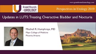 Updates in LUTS Treating Overactive Bladder and Nocturia [upl. by Molly]