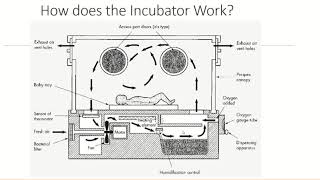 The ICU Baby Incubator [upl. by Thisbe]