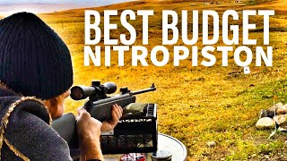 Best Budget Nitro Piston Airgun  Crosman Shockwave [upl. by Eynenihc]