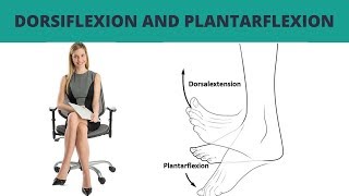 Dorsiflexion and Plantarflexion  TERMINOLOGY 7 [upl. by Nauqal710]