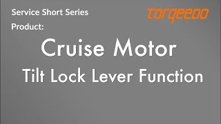 Torqeedo Cruise Motor Tilt Lock Lever Function [upl. by Airbmat]