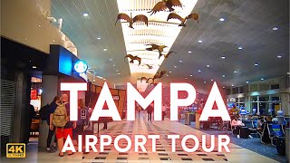 Tampa Airport Tour International 4k TPA [upl. by Katinka]