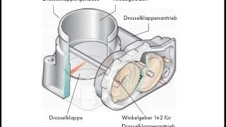 Drosselklappen Grundeinstellung  Anlernen VCDS  Polo Lupo  usw [upl. by Akenet]