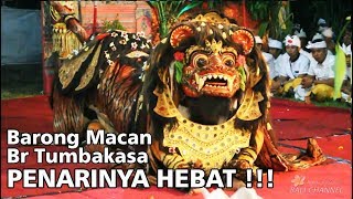 23 M VIEWS BARONG MACAN BALI  Tegallalang Gianyar [upl. by Anerahs]