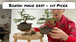 Bonsai Made Easy  DIY Picea [upl. by Ecinhoj]