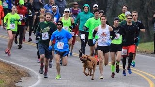 Dog Accidently Joins Half Marathon Finishes Race In 7th Place [upl. by Weinstock]